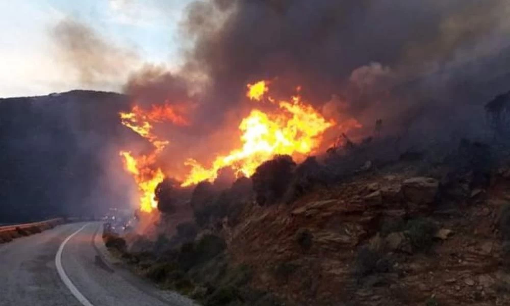 Πυρκαγιά στον Άγιο Κωνσταντίνο Φθιώτιδας